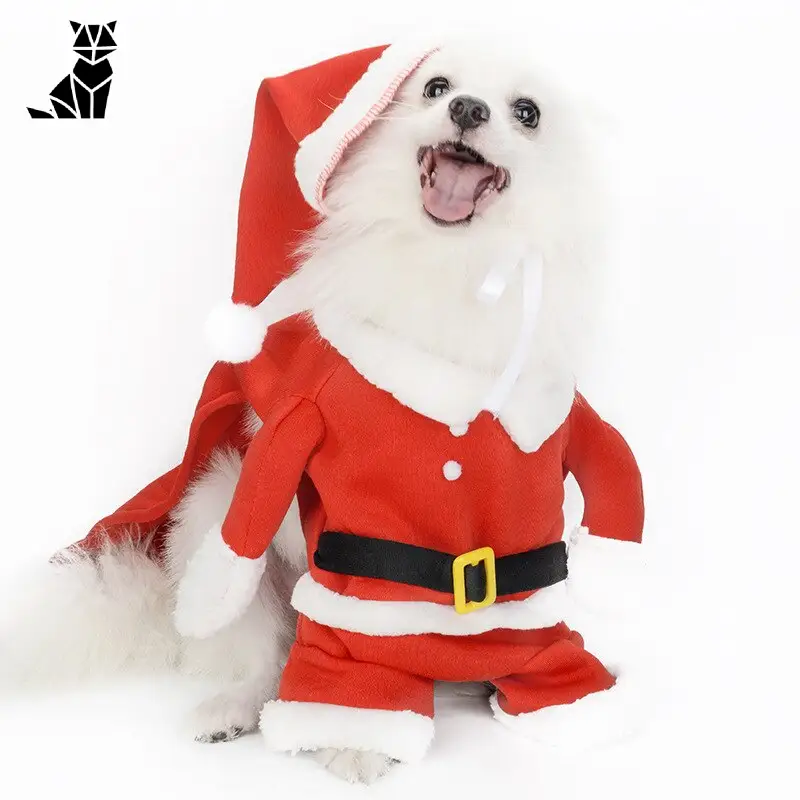 Bonnet de Noël pour Chien - Design Unique & Confort Optimal – Image 3